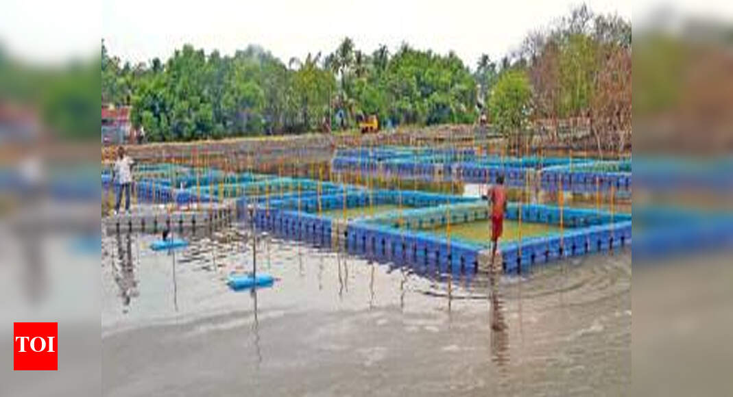 GCDA to lease out fish farm to private parties Kochi News Times of
