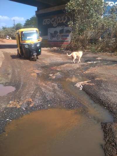drainage water in road