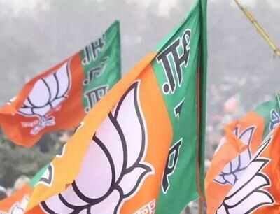 Spotlight On Young Blood In Race For 2 Top State Bjp Posts In