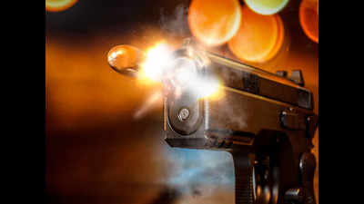 Guard fires off gun accidentally, booked