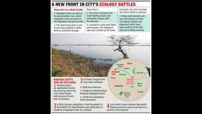 Najafgarh lake to be dammed? Alarm bells ring for wetland, flooding-prone city
