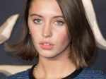  Iris Law