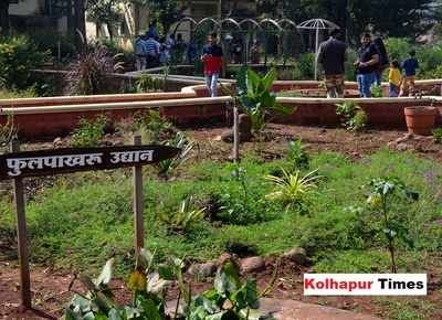 Kolhapur’s butterfly garden is attracting tourists and locals alike