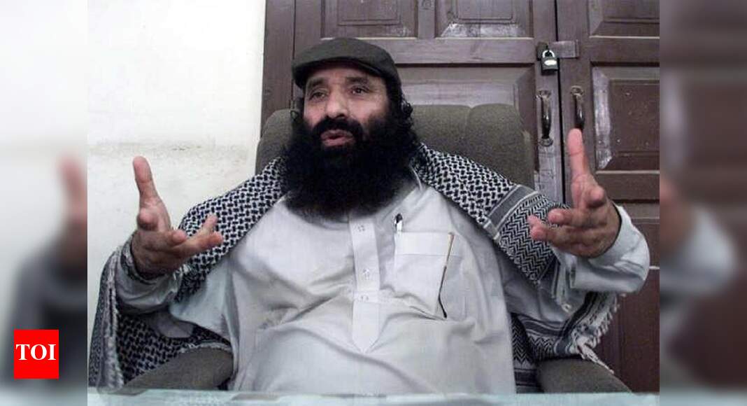 Terror funding: SC rejects plea of Hizbul Chief Salauddin's son | India ...