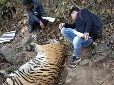 Welcome Board - Picture of MelGhat Tiger Reserve, Amravati - Tripadvisor