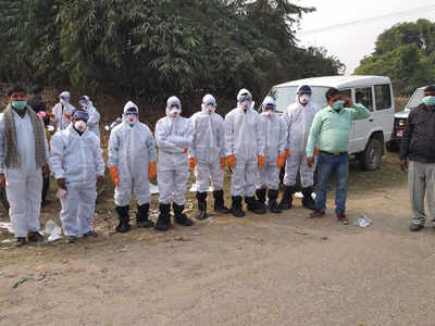 Bird flu: Over 2,000 birds culled in Munger