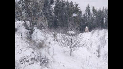 Snowfall starts in Shimla