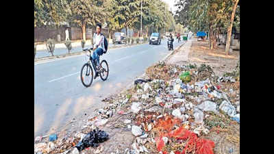 Garbage bins overflow in Panchkula as sweepers’ strike enters Day 3