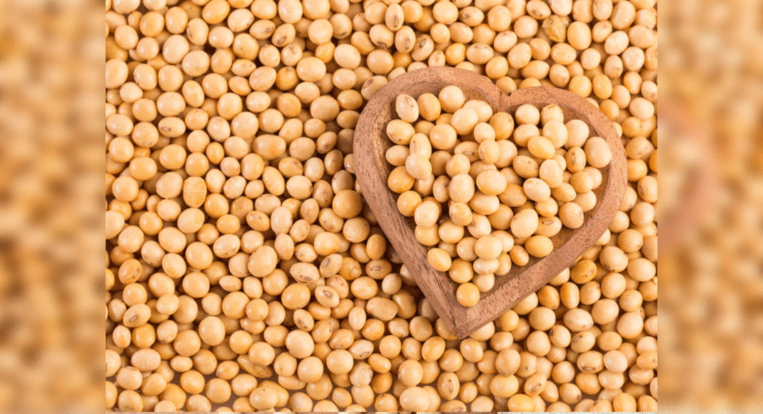 Facts about soybeans that are simply wow!