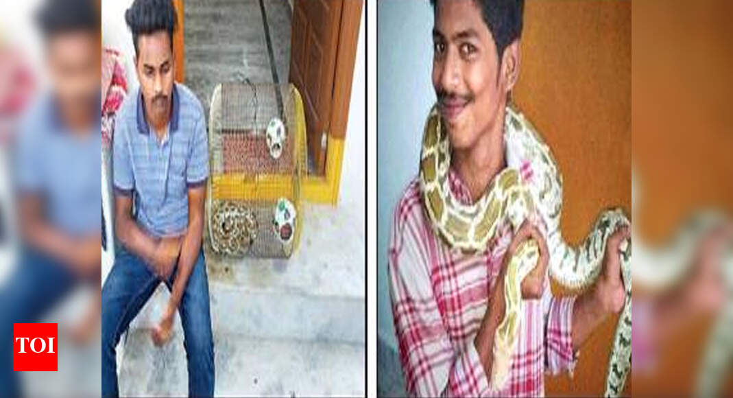 Two nabbed for trying to sell snakes online | Hyderabad News - Times of