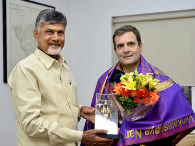 Andhra CM Chandrababu Naidu meets Rahul Gandhi, discuss plans to take on BJP