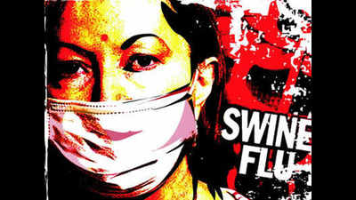 Swine flu claims 3 lives in Rajasthan, 57 test positive
