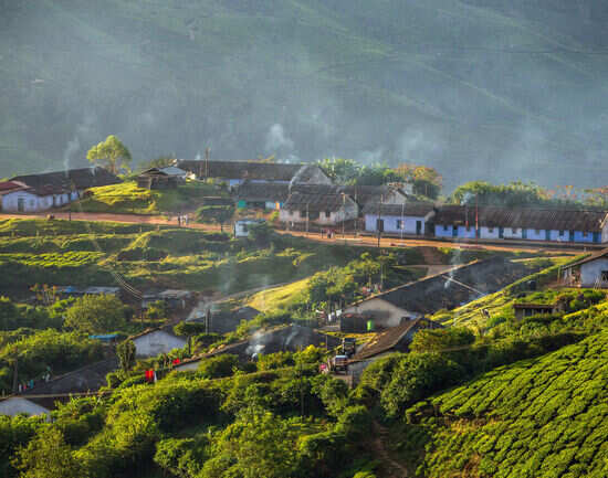 Enchanting stays in Munnar near city centre