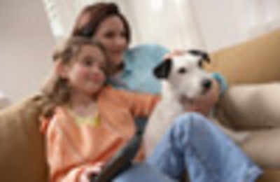 Pet dogs may help kids with allergies
