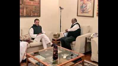 Rahul Gandhi meets Sharad Pawar to share last 8 LS seats