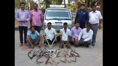 Karnataka: CID busts wildlife trafficking gang in Udupi