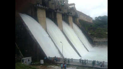 Odisha to host international dam safety conference next month