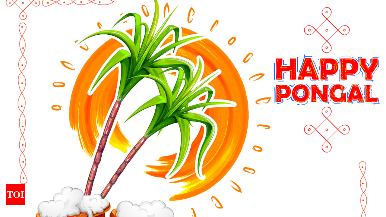 Pongal Festival Greetings Online, Best Pongal Png Elements - Pongal Images  Png, Transparent Png , Transparent Png Image - PNGitem