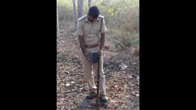 After man is killed by tiger, forest department sets up camera traps