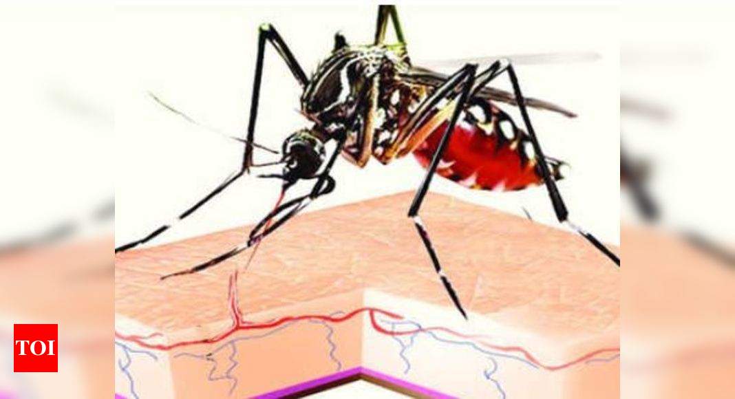 Is There Malaria In Mumbai