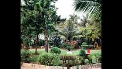 BMC alters park revamp to save mangroves, cost