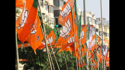 Gathbandhan door closed, BJP allies now mull options
