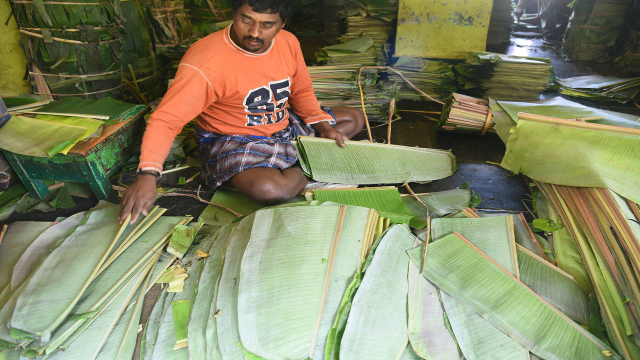 Banana leaves and areca plates cost vendors a packet | Chennai News - Times  of India