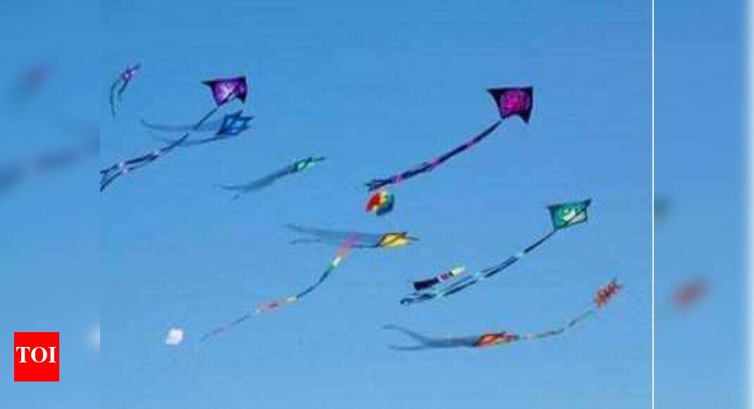 No blanket ban on kite flying, Hyderabad police commissioner rubbishes