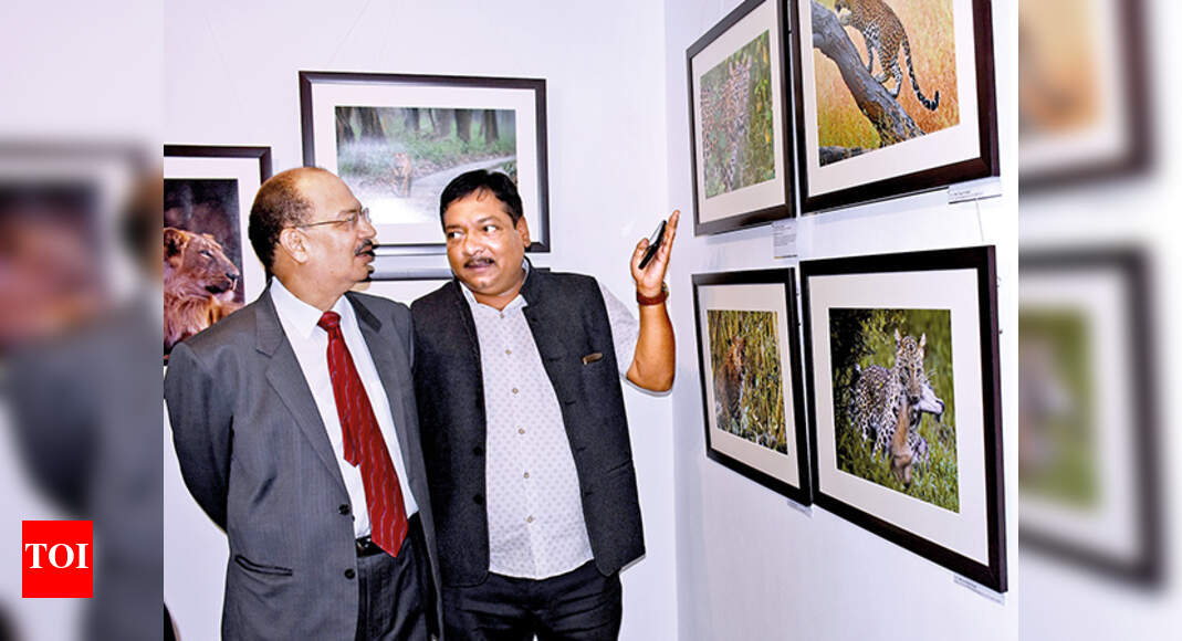 Wildlife photography exhibition gets a thumbsup from art lovers in ...
