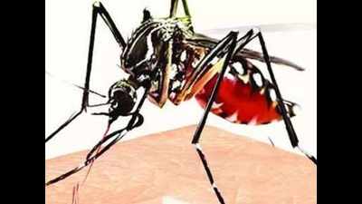 Number of Malaria cases down to 97 from 179 in Kozhikode