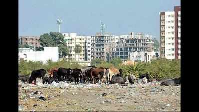 Upscale Baghmugalia Swachh? Take a look at the dirty picture