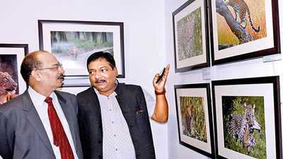 Wildlife photography exhibition gets a thumbsup from art lovers in Lucknow  | Events Movie News - Times of India