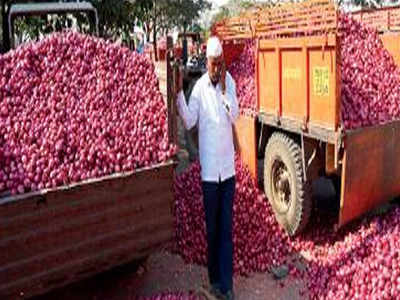 Now, onion farmers can apply for government grant till January 25 ...