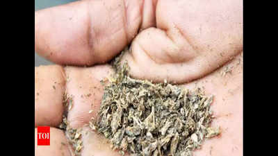 One kg ganja worth Rs 1 lakh recovered from 5 peddlers
