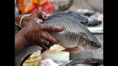 Fish sale dips in Bhagalpur, Banka