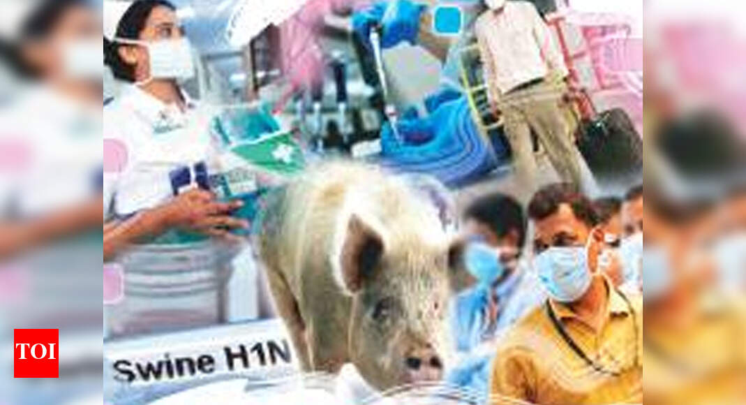 Three swine flu cases every day in Punjab in 2019 | Chandigarh News ...