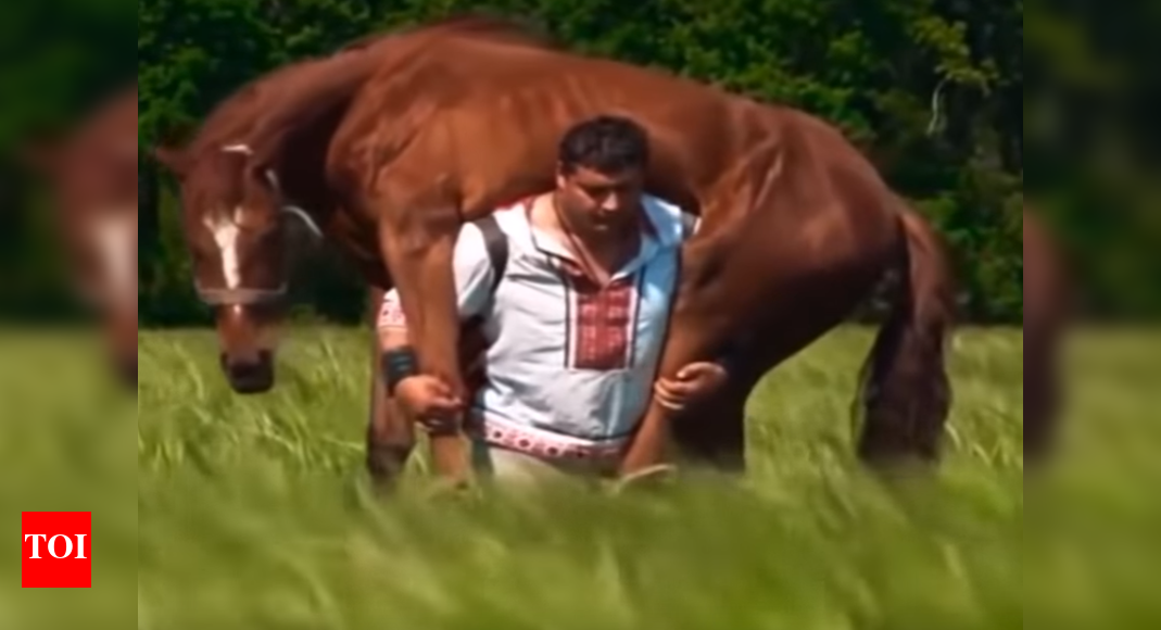 FACT CHECK Man carried horse on his back after it was bitten by a