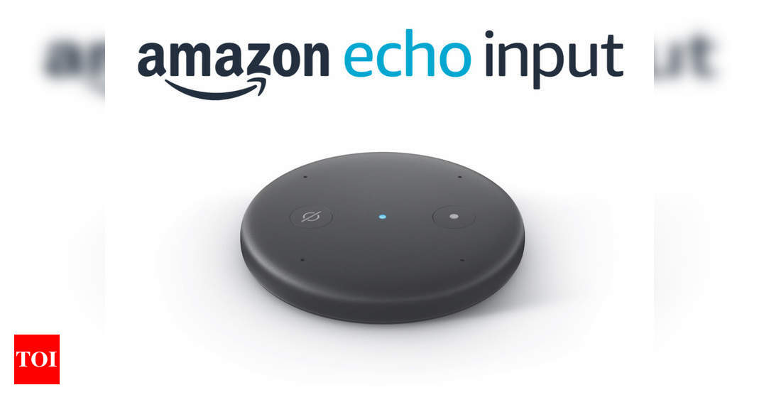 Amazon echo sales input release date