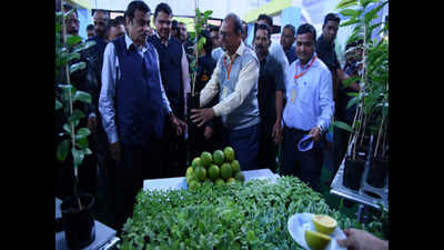 Maharashtra government planning export market for fruits: Chief minister Devendra Fadnavis