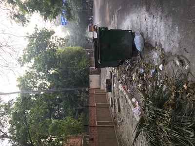 Garbage Bin blocking Road