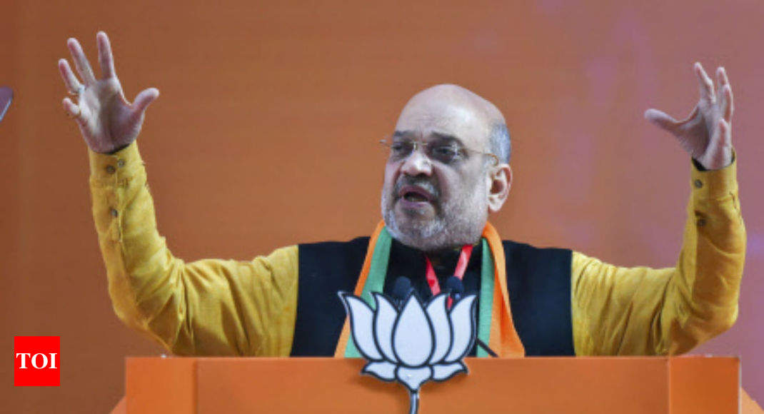 BJP dissidents calls for ousting Modi: Amit Shah 