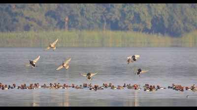 Birdwatching event organised in Raipur
