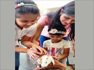 Greenwood High- Bannerghatta inspires children to be nature friendly, binds them up with animals