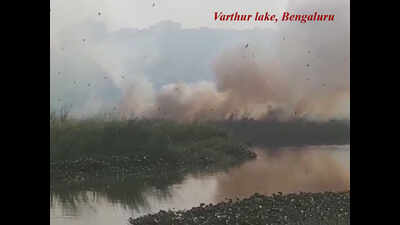 Watch: Fire breaks out in Bengaluru's Varthur lake