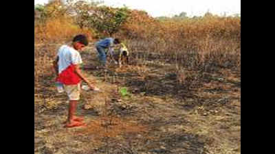 Chimbel villagers walk the talk, plant trees at scorched IT Park site