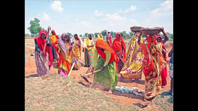 'Kaam Mango Abhiyaan' under MGNREGA scheme to continue till February 28 in Rajasthan