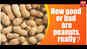 How good or bad are peanuts  really?