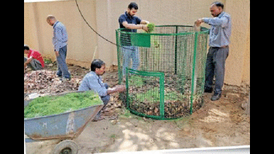Delhi: Managing waste is a walk in the park for these residents