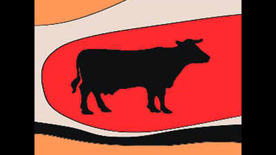 6 cows die at gaushala near Faizabad