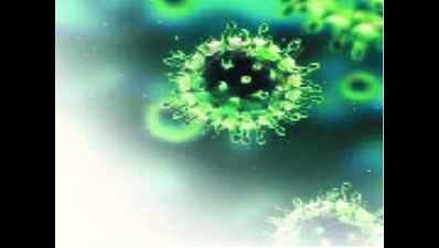 Madhya Pradesh: Unknown virus claims 64 lives in four months